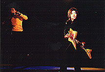 �X�`�[���ʐ^